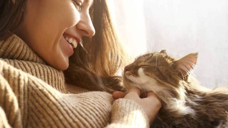 Foster Trust and Bonding