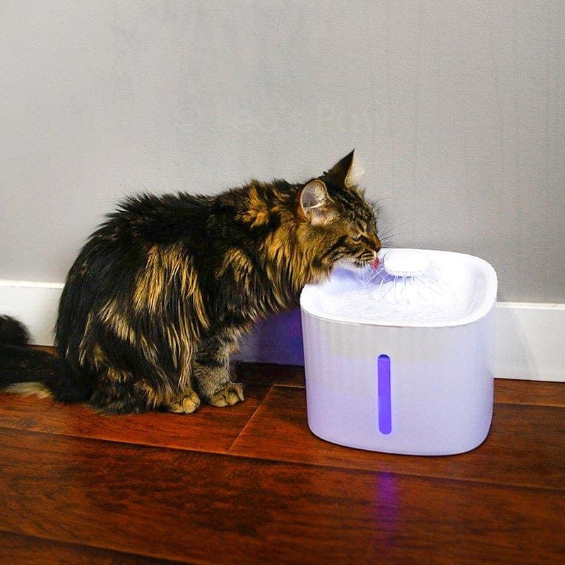 Fresh Water Access