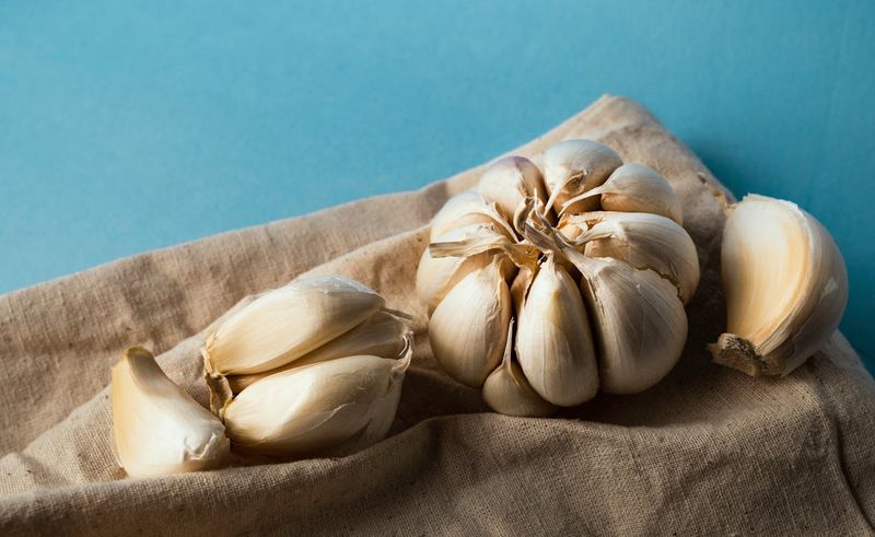 Garlic