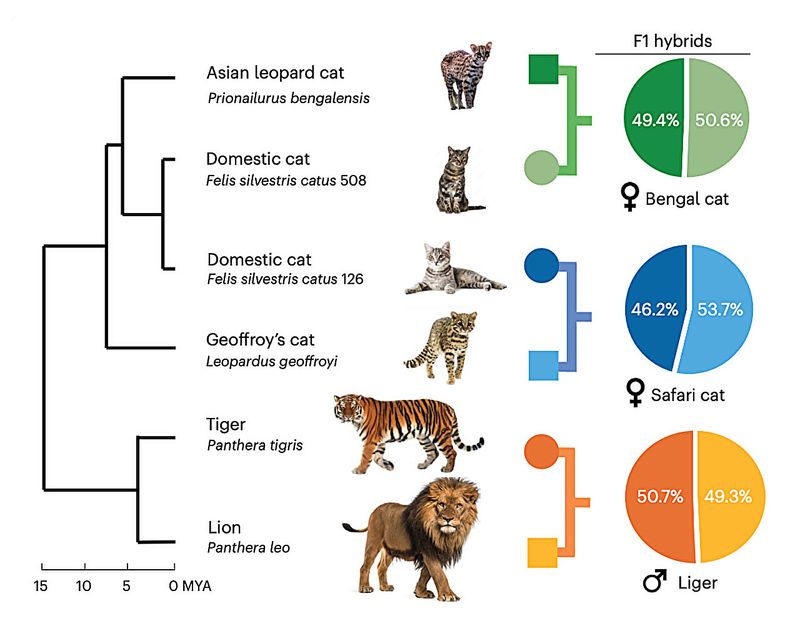 Genetic Sampling