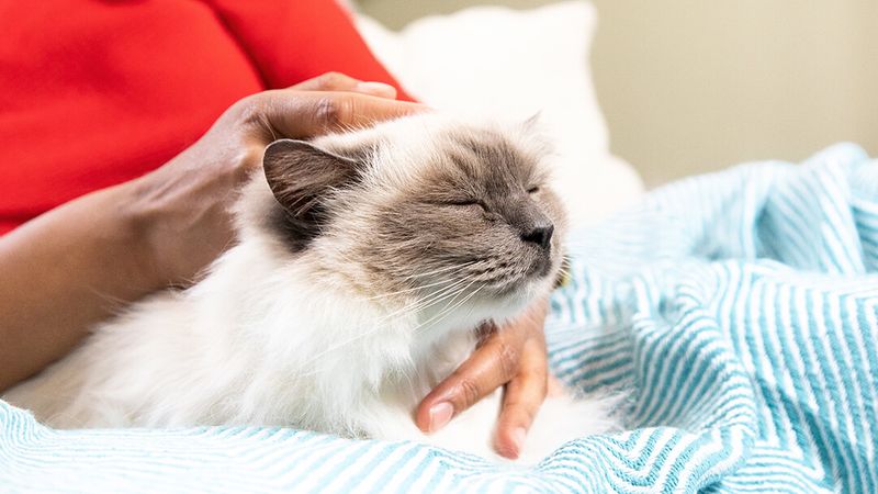 Gentle Massage Techniques