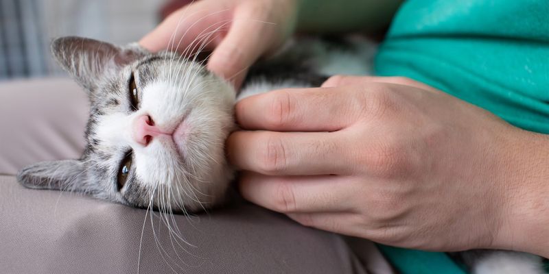 Gentle Massage Techniques