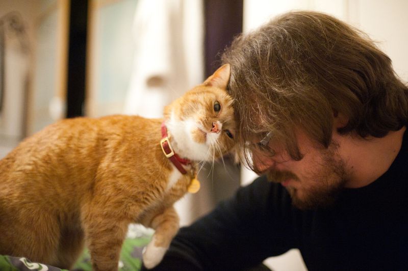 Gentle Nuzzles