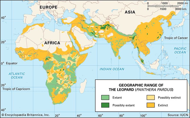 Global Distribution
