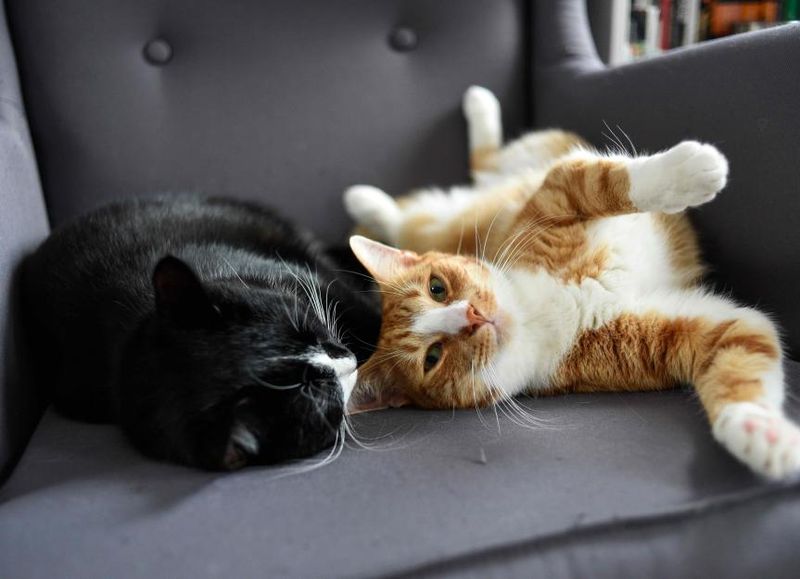 Gradually Increase Shared Time