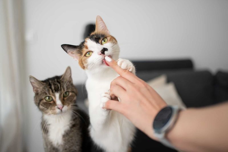 Grooming You