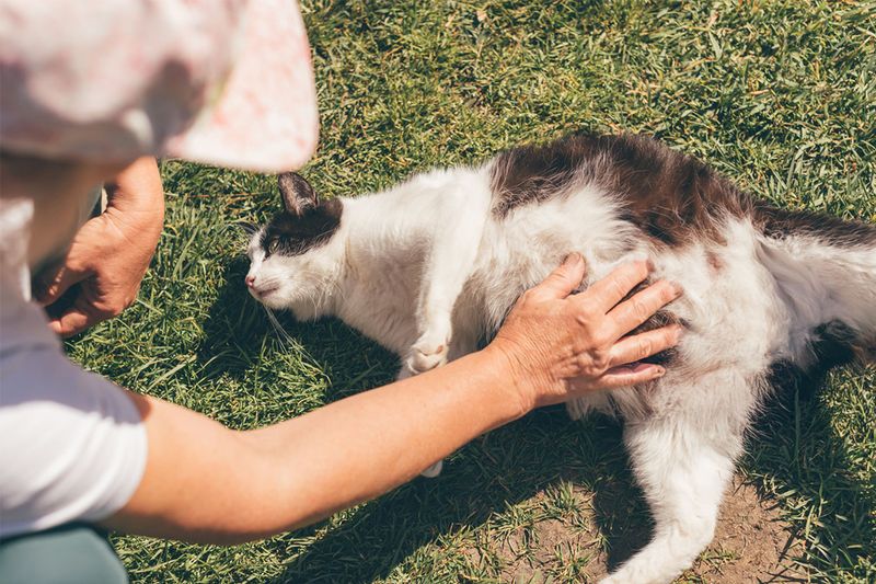 Grooming and Hygiene