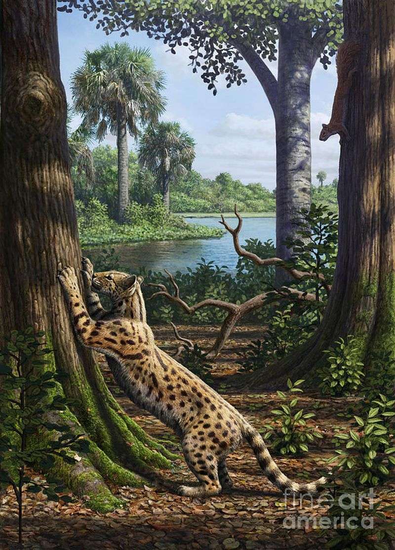 Habitat and Lifestyle