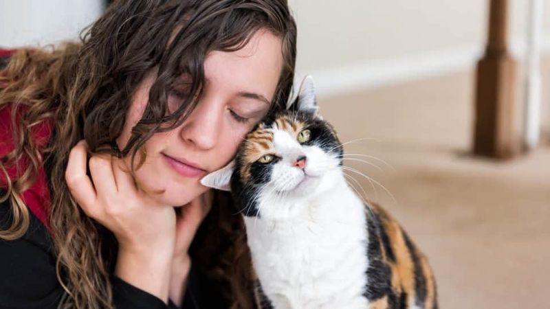 Head-Butting and Face Rubbing
