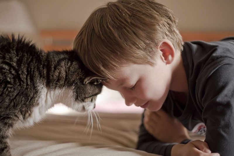 Head-Butting and Face Rubbing