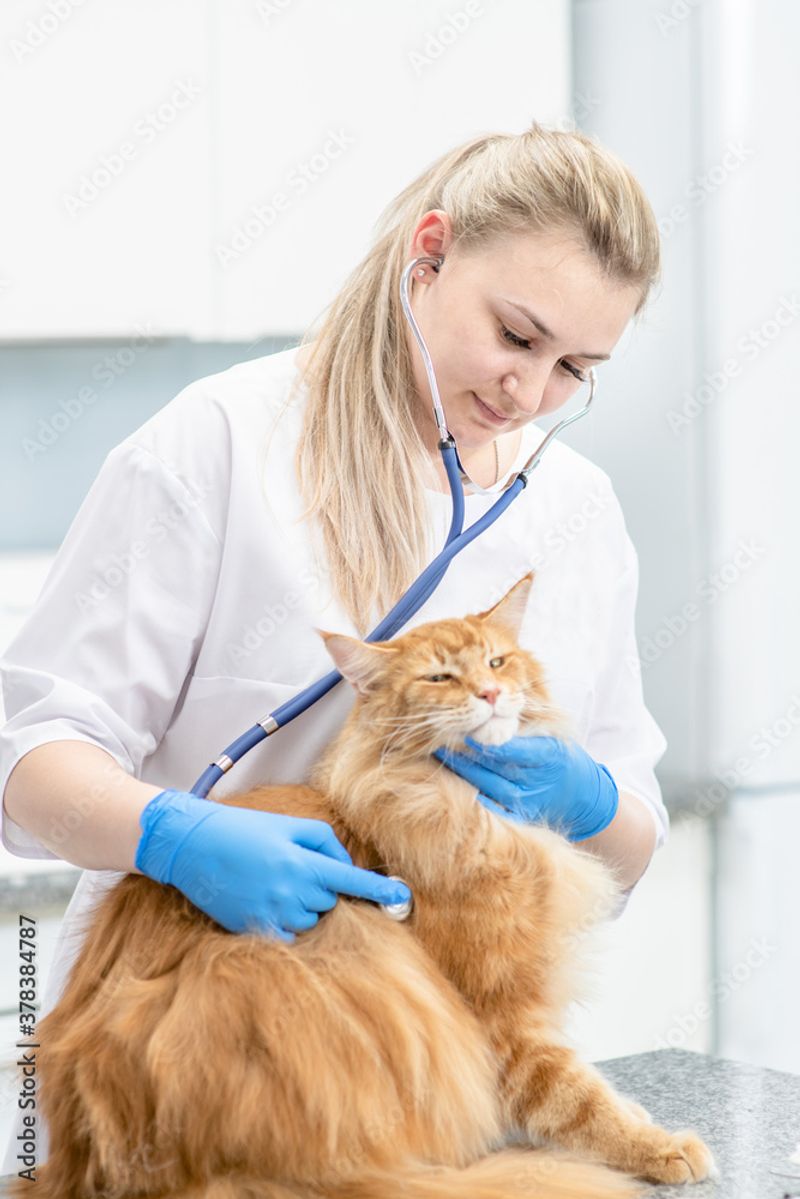 Health Check-ups