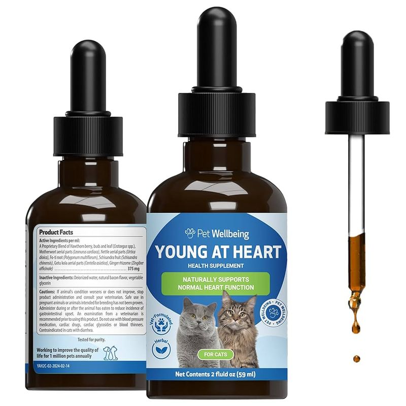 Heart Health