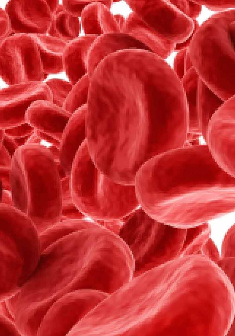 High Red Blood Cell Count