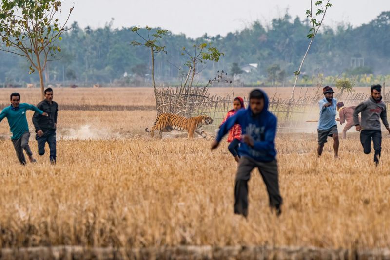 Human-Wildlife Conflict