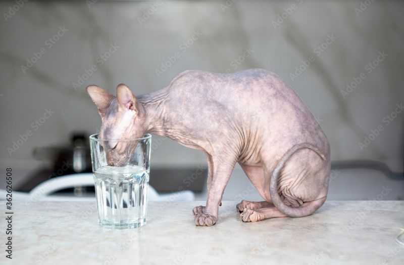 Hydration