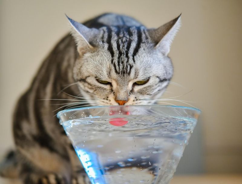 Hydration