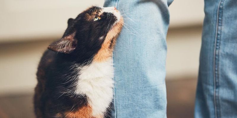 Ignoring Individual Needs and Boundaries
