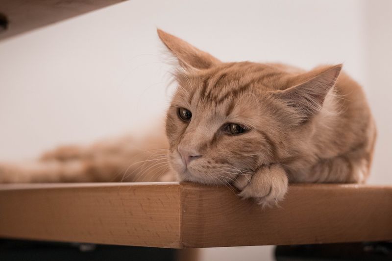 Ignoring Medical Symptoms