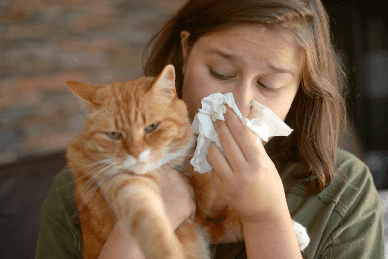 Immune System Response