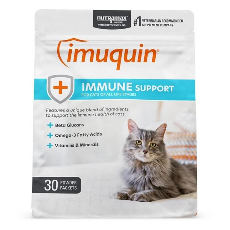 Immune System Support