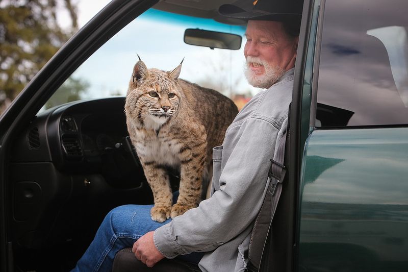 Impact on Pets and Livestock