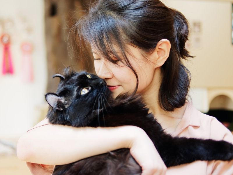 Increased Purring And Headbutting