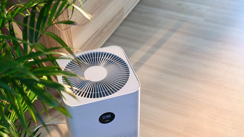 Install an Air Purifier