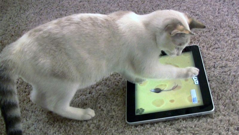 Interactive Apps