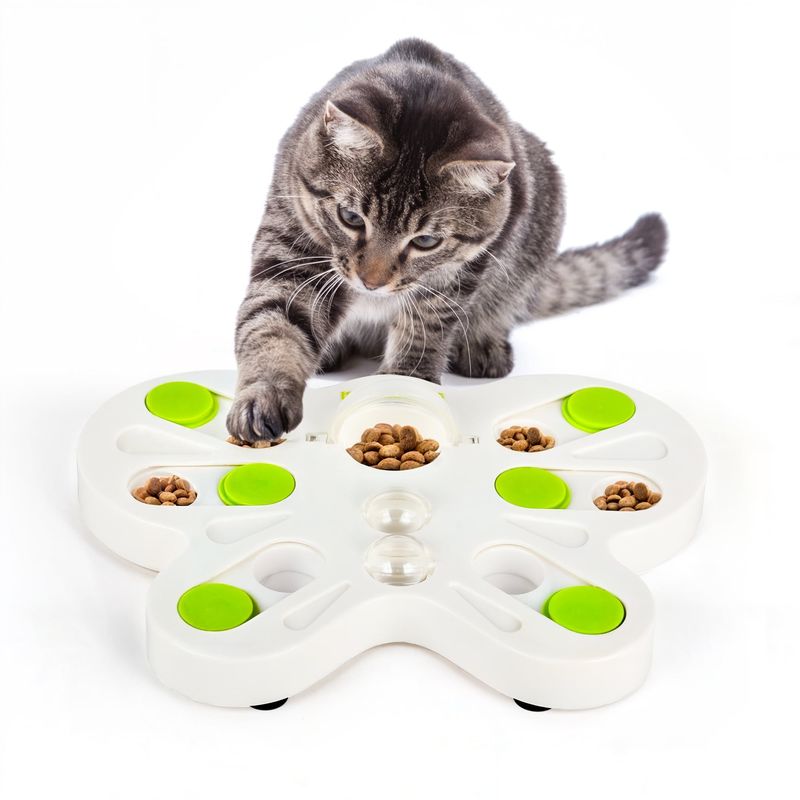 Interactive Treat Dispensers