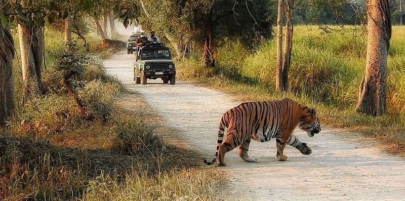 Kaziranga National Park, India