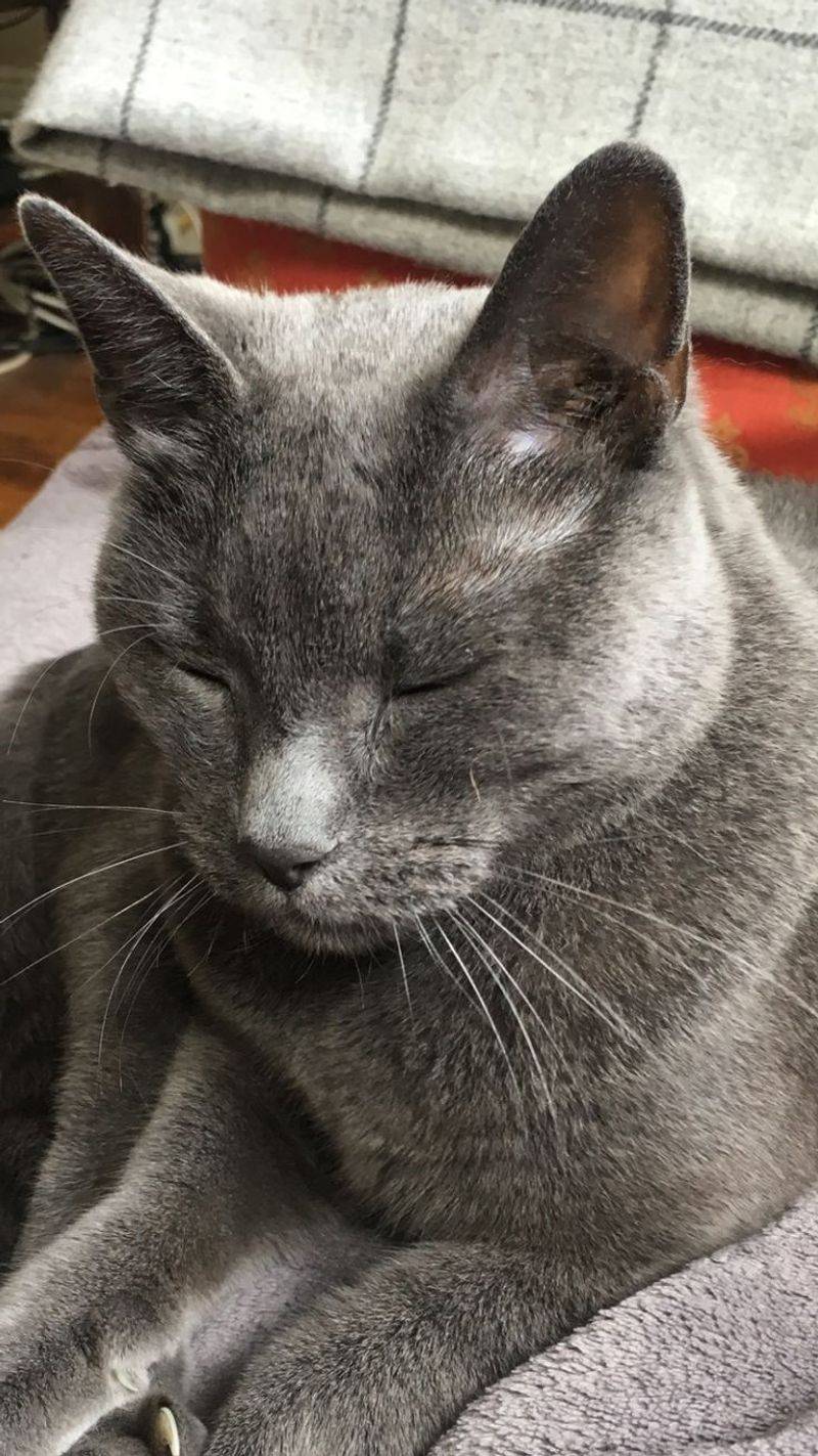 Korat
