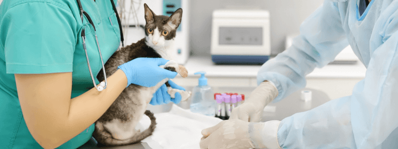Laboratory Tests