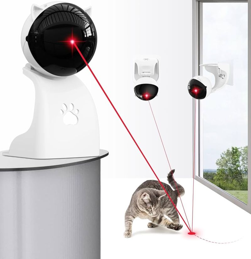 Laser Pointer Games