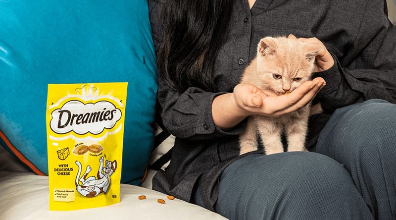Learn Their Favorite Treats