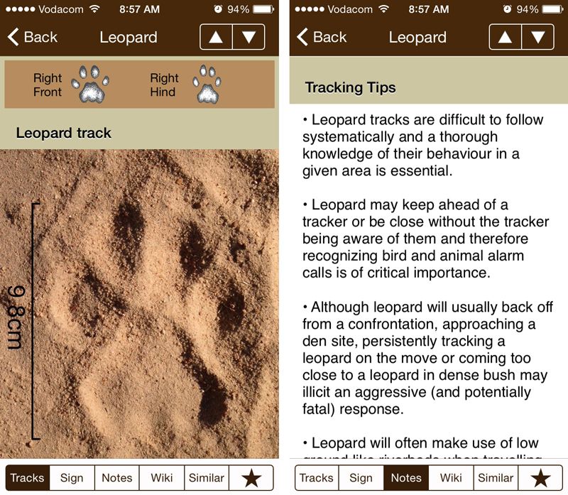 Leopard Track Features