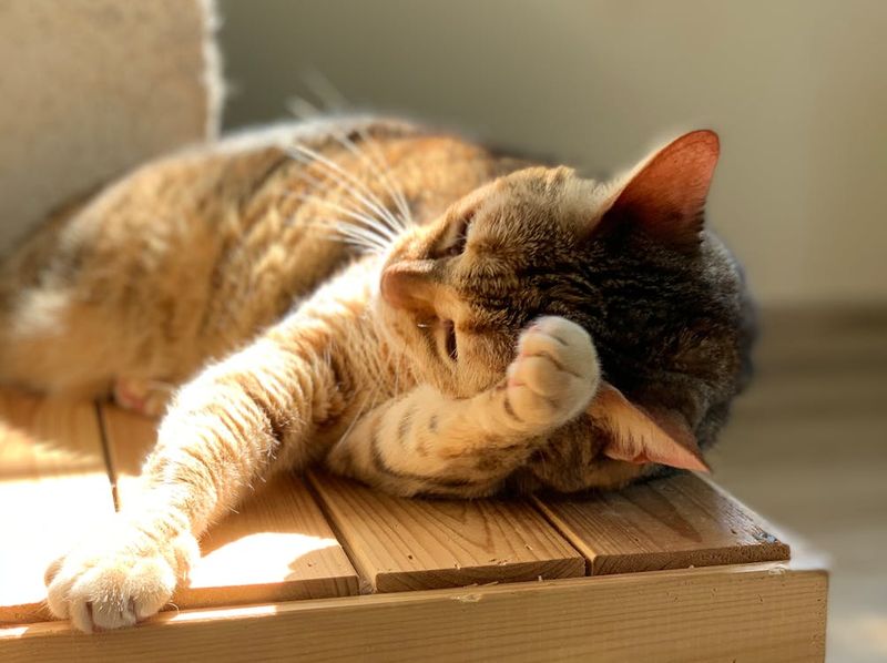Lessons in Self-Care Without Guilt