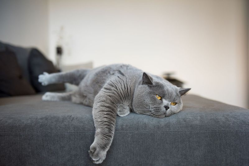 Lethargy and Weakness