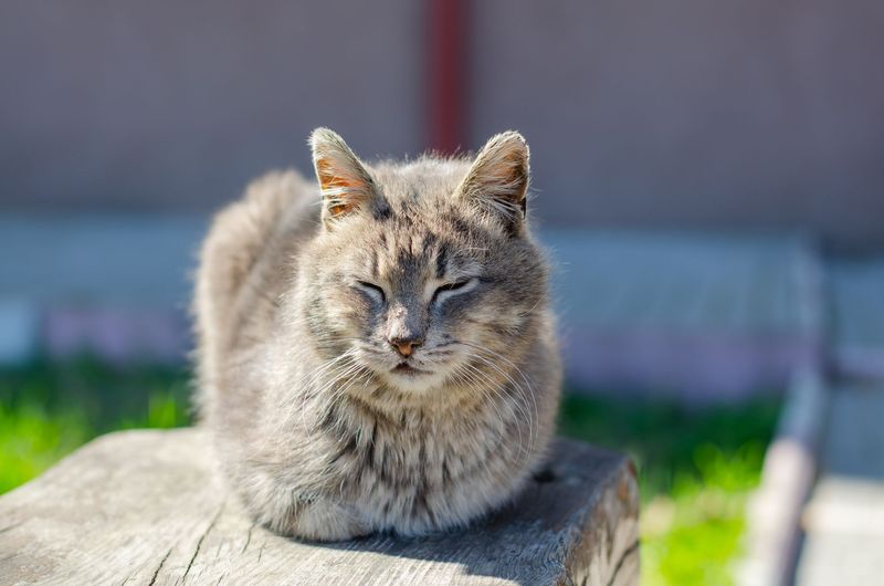 Listening More Attentively