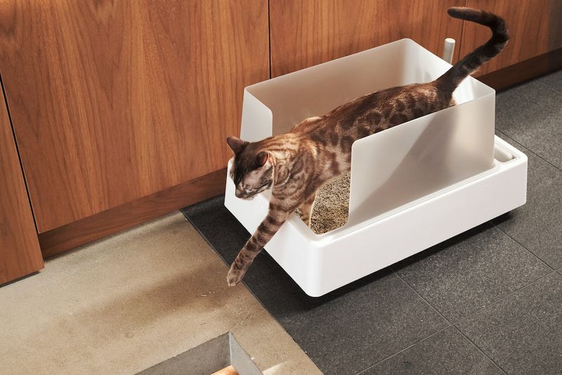 Litter Box Materials Don't Matter
