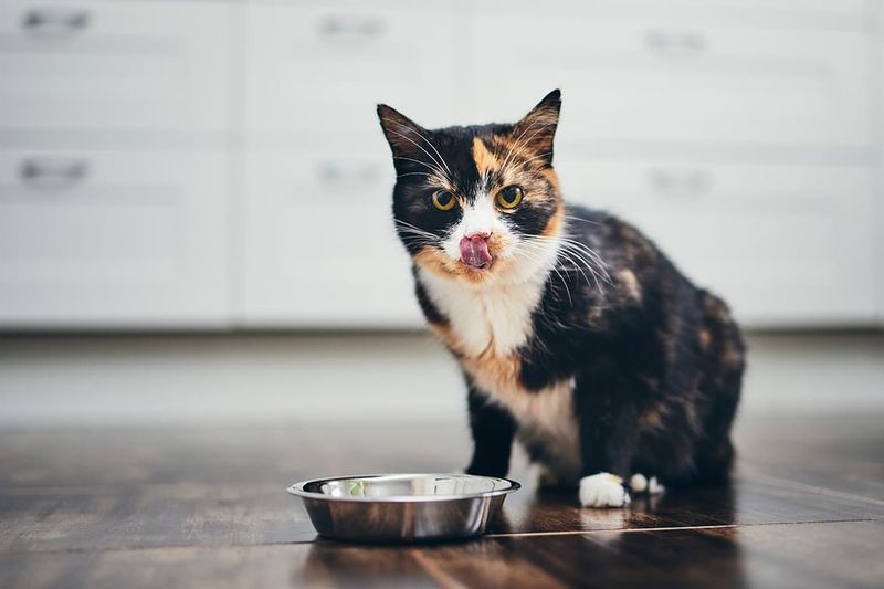 Loss of Appetite