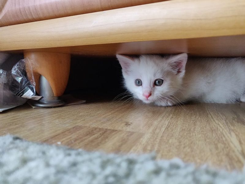 Loud Music and Sudden Noises