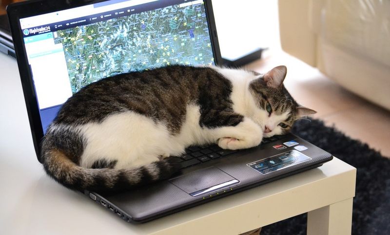 Lying on Your Things