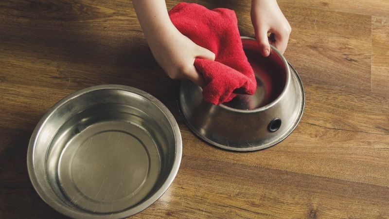 Maintaining Hygiene Standards