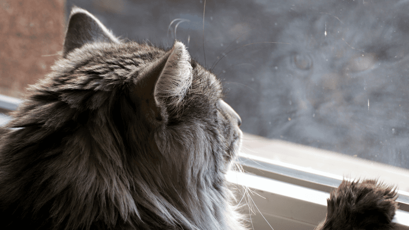 Minimize Household Changes