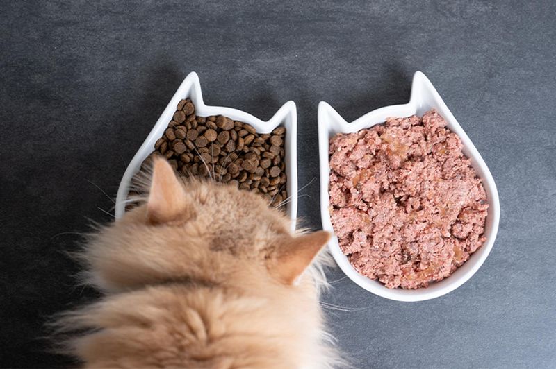 Mix in Wet and Dry Food