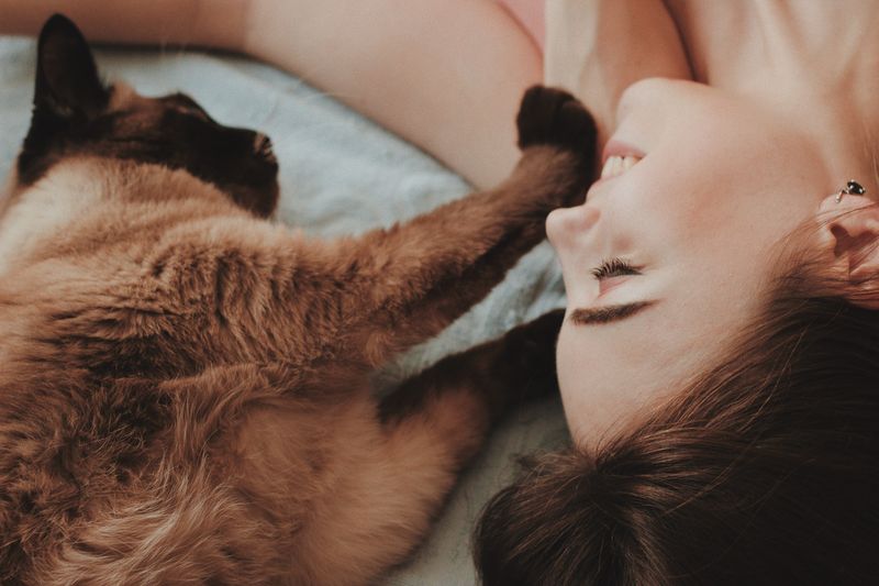 Modern-Day Companions
