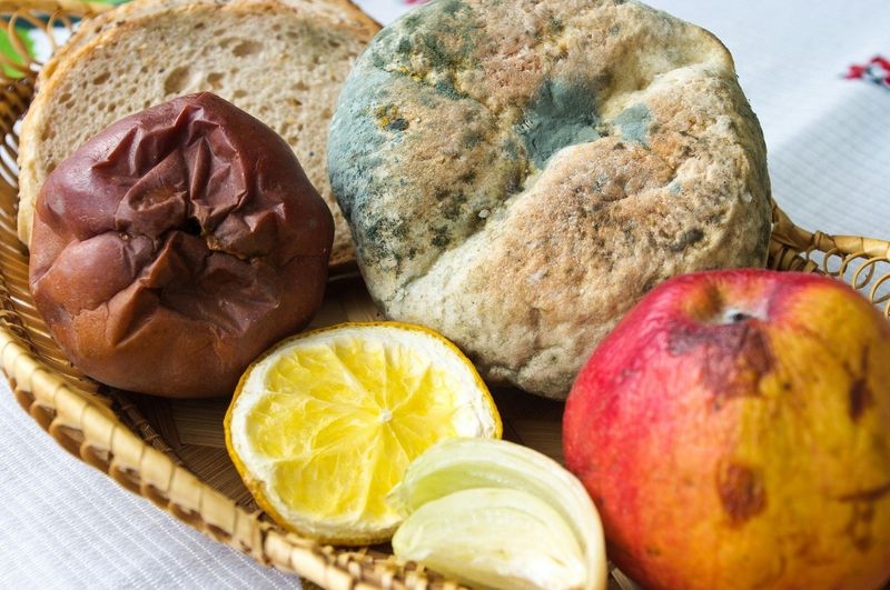 Moldy Foods