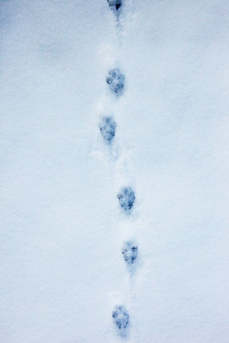 Movement Patterns