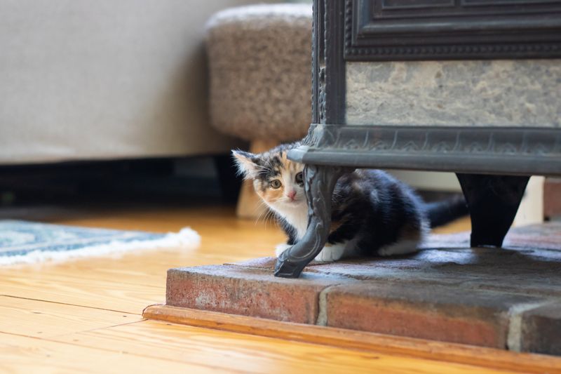 Moving Furniture Without Warning