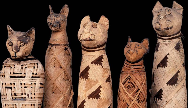 Mummification and Breeding